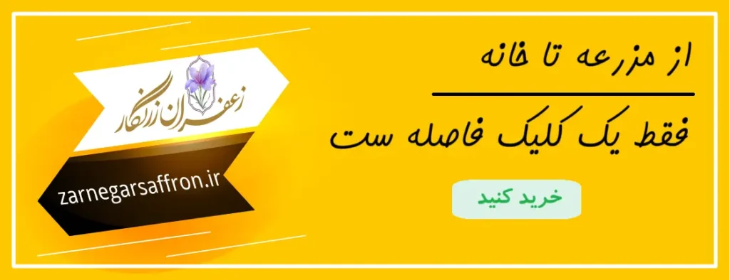 همین حالا از فروشگاه ما دیدن کنید.